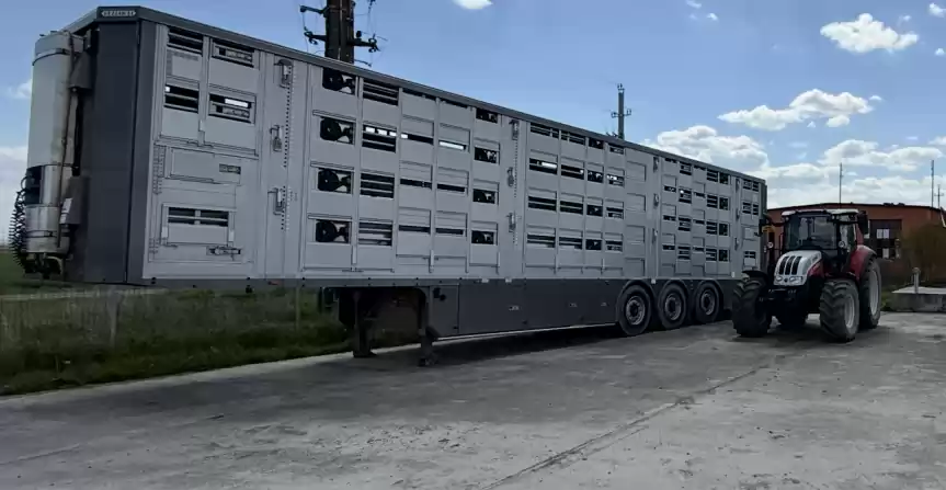 Ferma zootehnica de porci NOUA Full dotata 