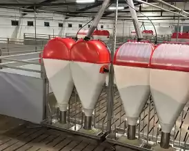 Ferma zootehnica de porci NOUA Full dotata 