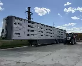 Ferma zootehnica de porci NOUA Full dotata 
