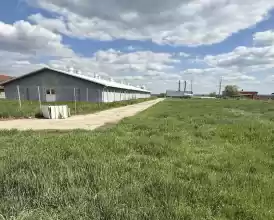 Ferma zootehnica de porci NOUA Full dotata 
