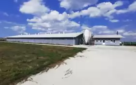 Ferma zootehnica de porci NOUA Full dot + Utilaje