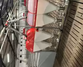 Ferma zootehnica de porci NOUA Full dotata 