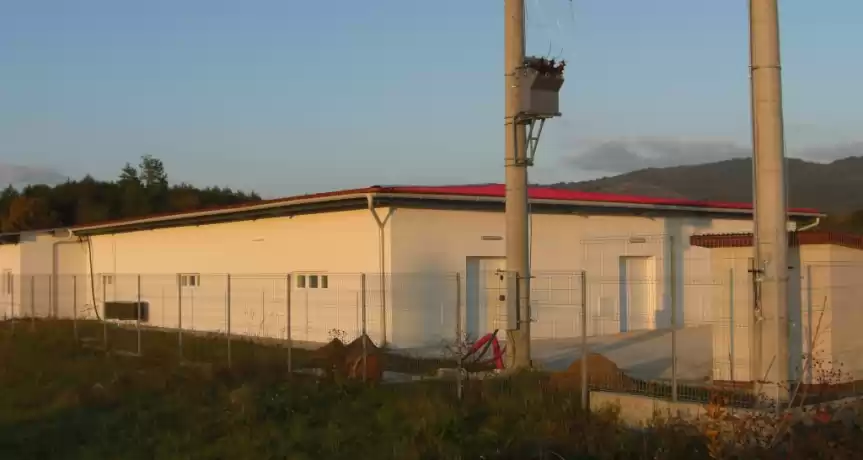 Afacere ciupercarie - investitie 1.000.000 EUR