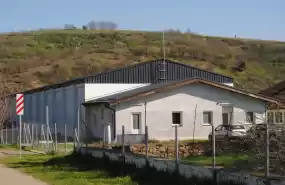 Plantație de cătină certificată ecologic 29.42 ha