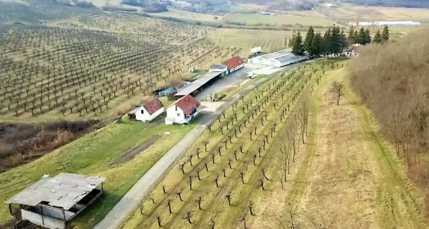 Ferma Pomicola 380 Ha judetul Sibiu 