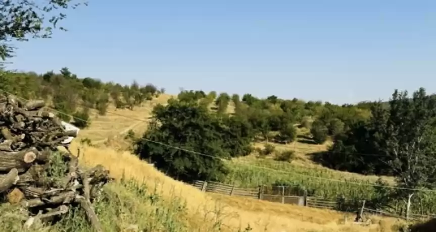 Vând fermă cu 107ha comasate plantatie vie+pomi