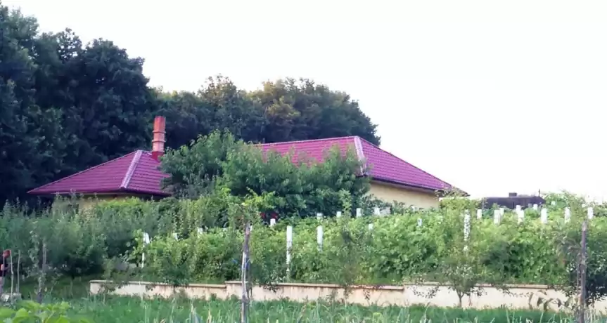 Microferma 