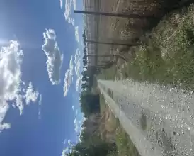 O afacere de succes în horticultură cu seră 