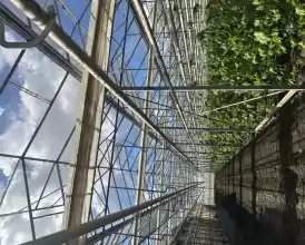 O afacere de succes în horticultură cu seră 