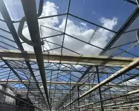 O afacere de succes în horticultură cu seră 