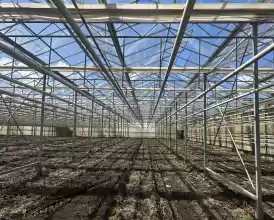 O afacere de succes în horticultură cu seră 