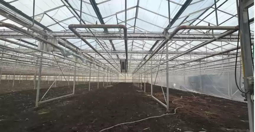 O afacere de succes în horticultură cu seră 