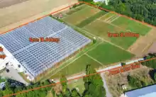 O afacere de succes în horticultură cu seră 
