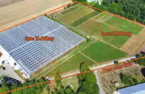 O afacere de succes în horticultură cu seră 