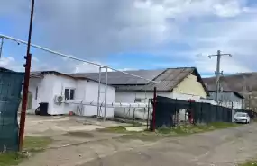 Vând/inchiriez/asociere fermă găini ouătoare 