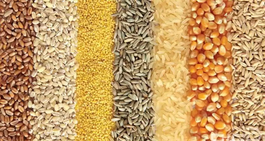 Asociere sau vanzare moara, productie si distributie furaje si cereale