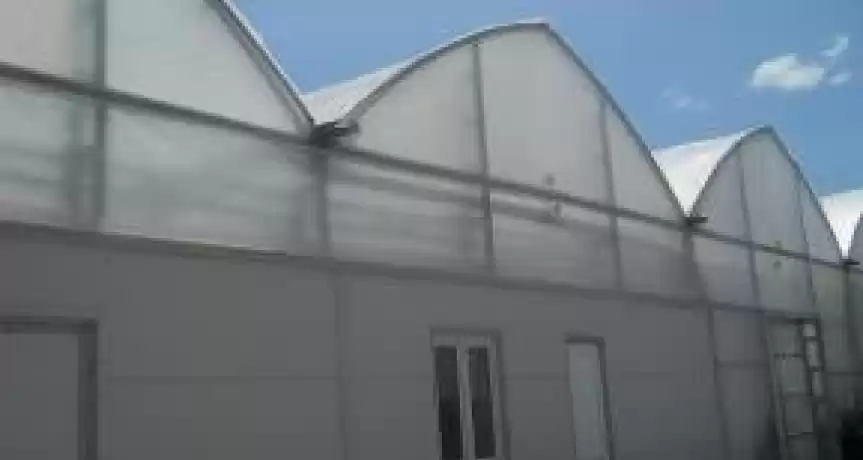 De vânzare COMPLEX DE 9 SERE DE LEGUME ECOLOGICE