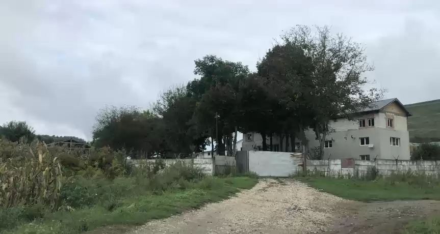 Ferma bovine sibiu
