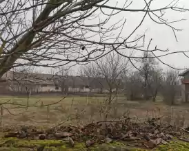 Conac, ferma si teren aferent 128.360 mp - Olt