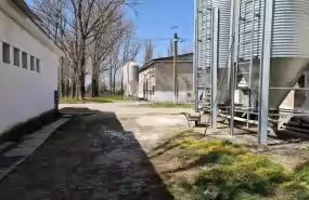 Oportunitate Investițională în Industria Avicola