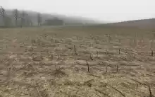 Vind 2 parcele terenuri extravilane Radesti