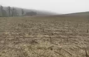 Vind 2 parcele terenuri extravilane Radesti Vind 2 parcele terenuri extravilane Radesti