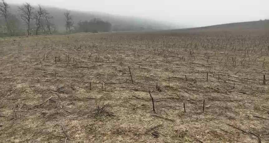 Vind 2 parcele terenuri extravilane Radesti