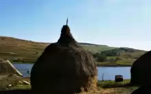 Iazuri cu teren in Suceava