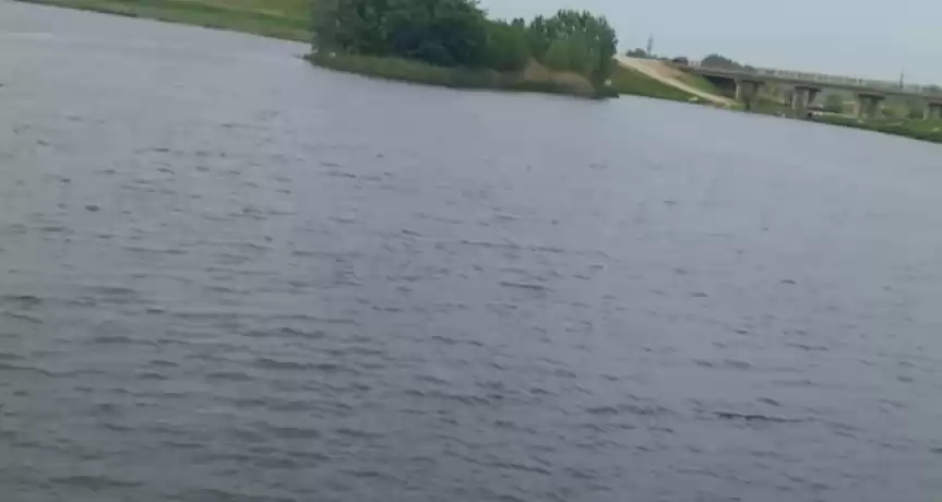 INVESTIȚIE LA CHEIE: Complex Piscicol 74 Ha - 85.000 EUR INVESTIȚIE LA CHEIE: Complex Piscicol 74 Ha