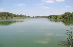 Ocazie unica! Balta proprietate langa Bucuresti – Valea Bisericii