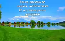 Pescărie cu 15 căsuțe pe malul, casa P+M, anexe  Pescărie cu 15 căsuțe pe malul, casa P+M, anexe