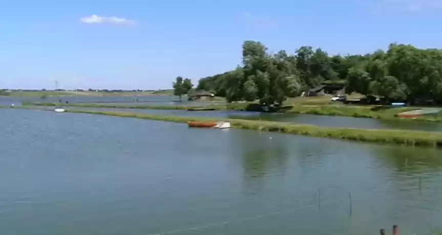 Vand firma cu activitate in piscicultura in Ilfov