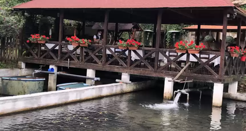 De vânzare Păstrăvărie- restaurant-pensiune