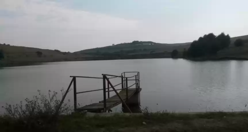Vand ferma cu iazuri in Suceava