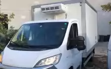 Oferta afacere transport frigorific Oferta afacere transport frigorific