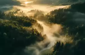 24 Hectare în Zona Turistică Montană Bulz, Bihor