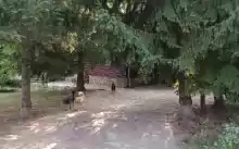  Oportunitate Business în Izvoarele, Prahova