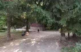 Oportunitate Business în Izvoarele, Prahova Oportunitate Business în Izvoarele, Prahova