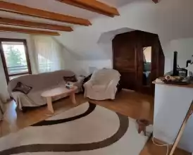 Vand Pensiunea Codrii de Arama 