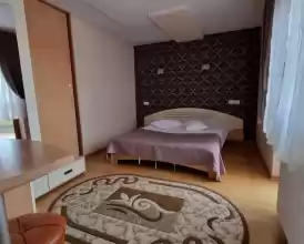 Vand Pensiunea Codrii de Arama 