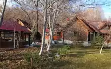 Proprietate de vanzare in Izvoarele- Prahova