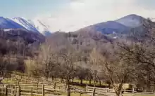 Teren in Retezat, loc Uricani Teren in Retezat, loc Uricani