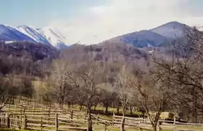 Teren in Retezat, loc Uricani Teren in Retezat, loc Uricani