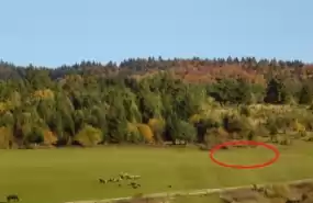 Teren SUPERB la munte, in statiunea Covasna 