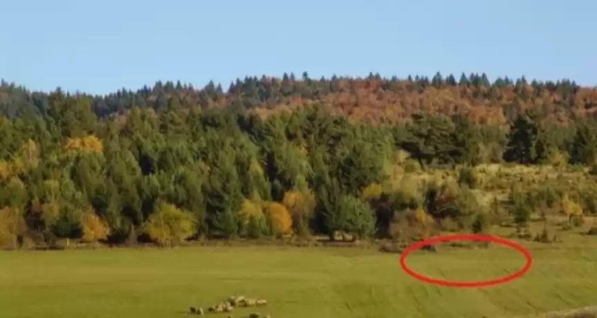 Teren SUPERB la munte, in statiunea Covasna 