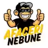 Oportunitate Afaceri Nebune