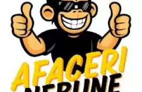 Oportunitate Afaceri Nebune Oportunitate Afaceri Nebune