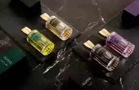 De vanzare BRAND unic de parfumuri LUXURY cu stoc