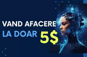 Vand afacere online la cheie