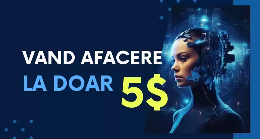 Vand afacere online la cheie